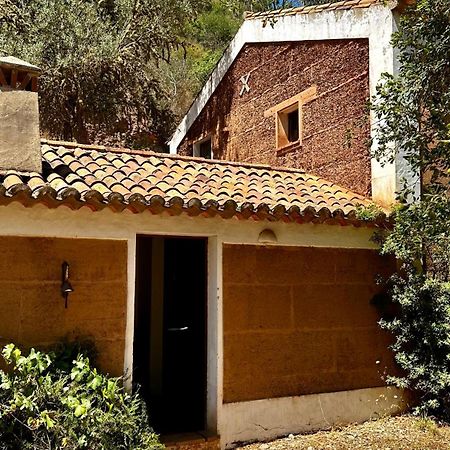 Gasthaus Casas Da Cerca Troviscais Exterior foto